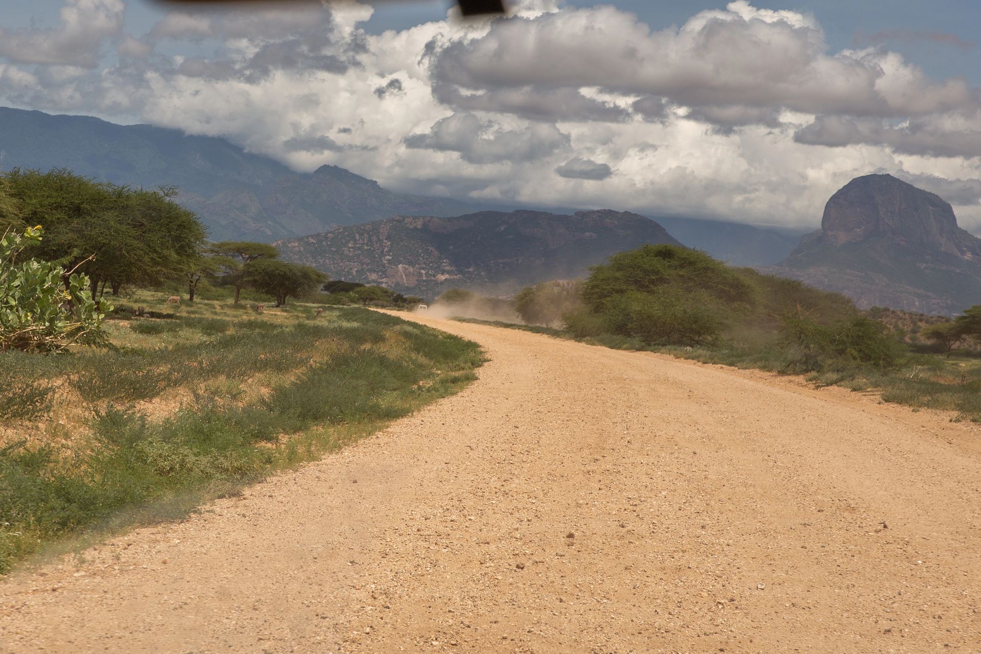 A dirt road cuts through arid rangeland toward distant mountains.
